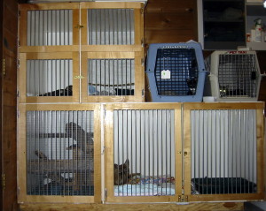 Indoor cages for recuperating wild animals